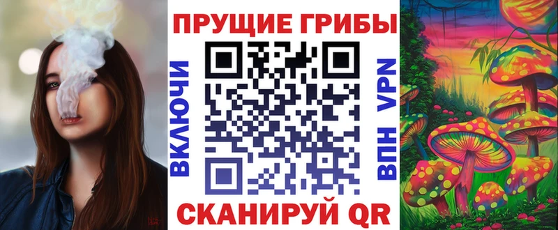 Купить закладки  Грозный  Псилоцибиновые грибы мухоморы 